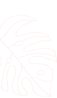 Seda Demir Beauty, Seda Demir, Tüm Vücut Lazer, 6 Bölge Lazer, 1 Bölge Lazer, Komple Ağda, Pop Lifting, Microblading, Kaş Kontürü, Kaş Gölgelendirme, Dudak Renklendirme, Dipliner, Kaş Silme, Saç Mezoterapisi, Porselen Makyaj, İpek Kirpik, Kirpik Lifting, Kaş Alımı, Jel Güçlendirme ve Kalıcı Oje, Protez Tırnak, Medikal Manikür, Medikal Pedikür, Manikür, Pedikür, Batık Tırnak Tedavisi